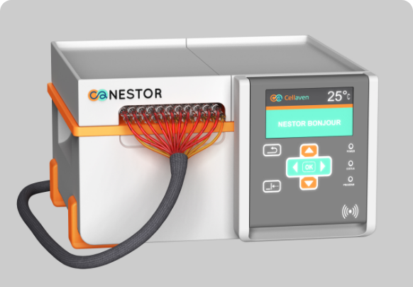 with-nestor lab girl repetitive tasks