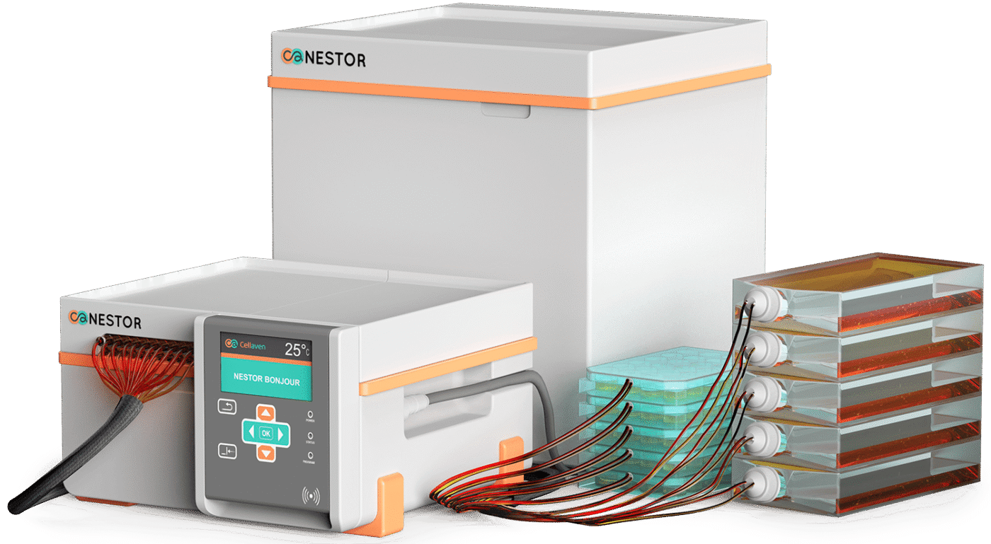 Applications du système automatisé de culture cellulaire Nestor sur différents modèles cellulaires.