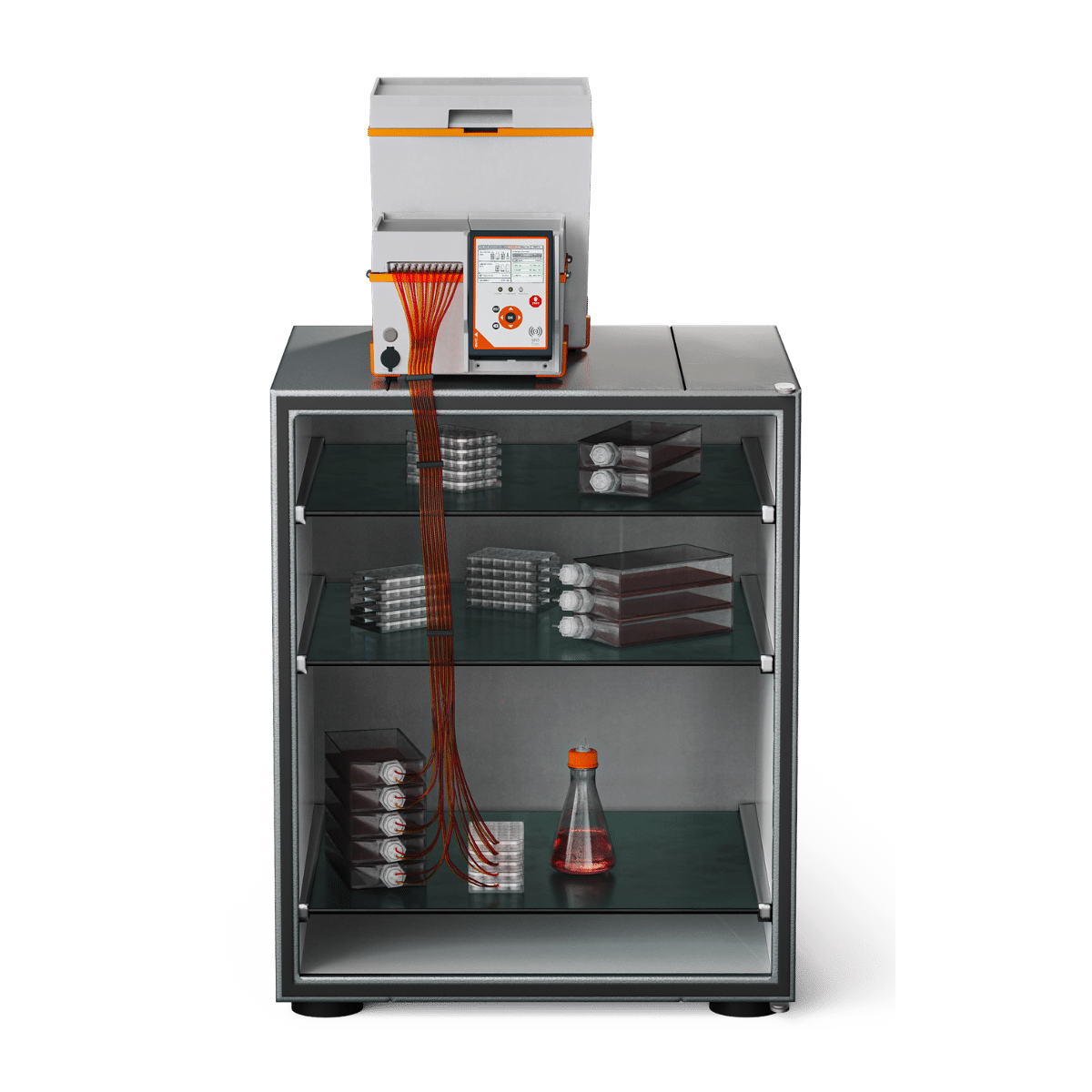 Nestor on top of the incubator